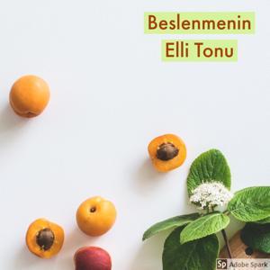 Beslenmenin Elli Tonu by Dyt. Mustafa Taşçı