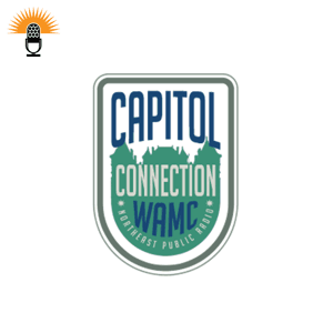 The Capitol Connection by David Guistina