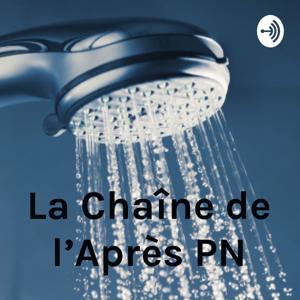 L'Après Perversion Narcissique by La Chaîne de l'Après PN