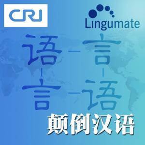 颠倒汉语 by 汉语教学