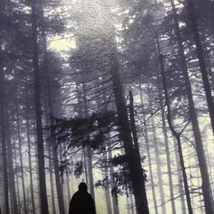 横沟正史|八墓村 by 韩易水