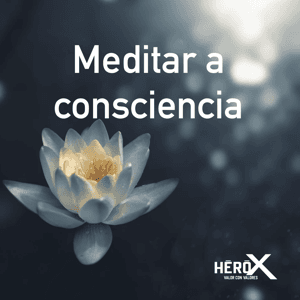 Meditar a consciencia by Fred Kofman
