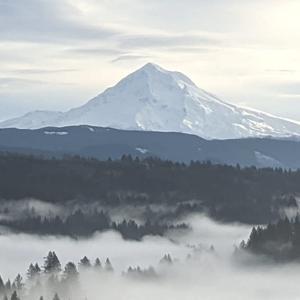 Downtempo by Ovidiu Adam