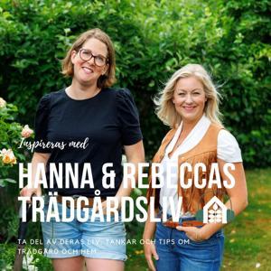 Hanna och Rebeccas trädgårdsliv by Willab Garden