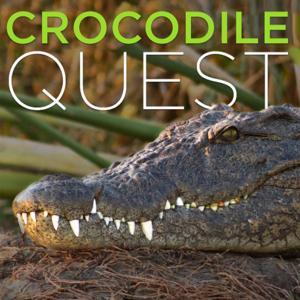 Crocodile Quest (HD) by Earth Touch