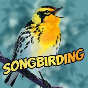 Songbirding by Rob Porter