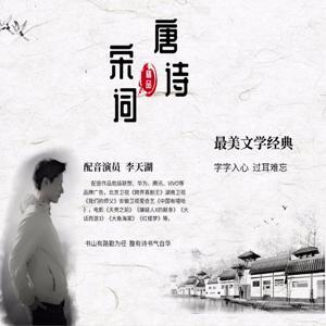 诗词入梦系列:唐诗三百首 by 李天湖