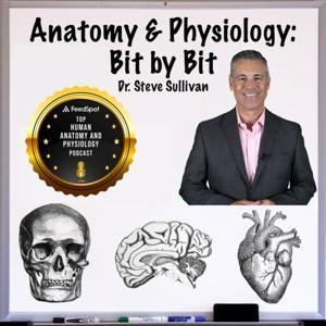 Anatomy and Physiology - Bit by Bit by Anatomy & Physiology - Bit by Bit