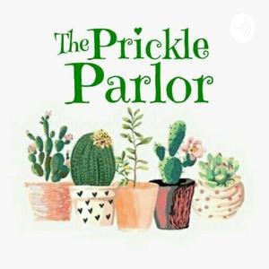 Cacti Explorer by Manal Yahya