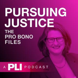 Pursuing Justice: The Pro Bono Files by Practising Law Institute