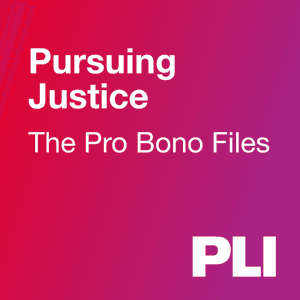 Pursuing Justice: The Pro Bono Files by Practising Law Institute