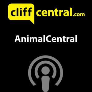 AnimalCentral by The Real Network