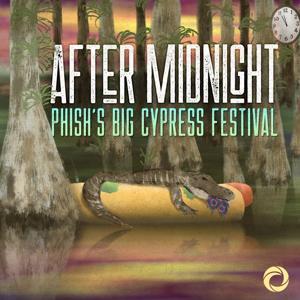 After Midnight: Phish's Big Cypress Festival by Osiris Media