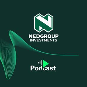 Nedgroup Investments Insights by Nedgroup Investments