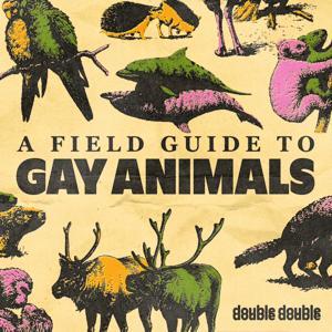 A Field Guide to Gay Animals by DoubleDouble Podcasts from Canadaland