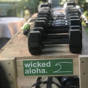 WICKED ALOHA. by Will and Patrick