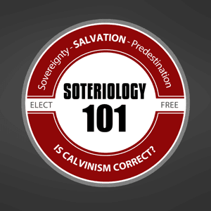 Soteriology 101 w/ Dr. Leighton Flowers by Dr. Leighton Flowers