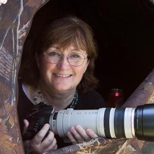 Laura Erickson's For the Birds by Laura Erickson