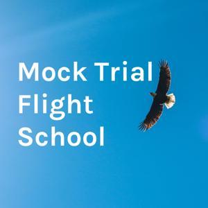 Mock Trial Flight School by Brian Bellamy