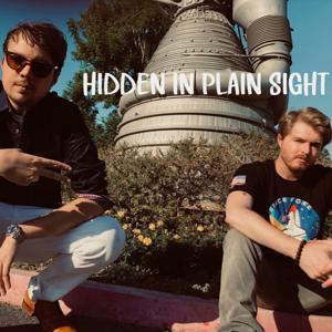 Hidden In Plain Sight by John Johnson