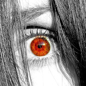 Archiwum Kryminalne by Archiwum Kryminalne