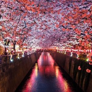 Dec 1 I'm Enlightened Haiku Poems 1-30 by Marc Acrich