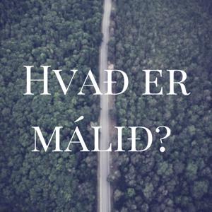 Hvað er málið? by Sigrún Sigurpáls