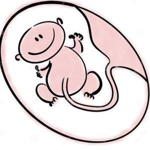 Medicina - Obstetricia Fácil by Joel Chocca