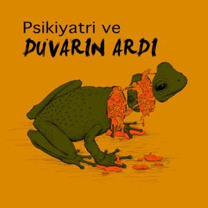 Psikiyatri ve Duvarın Ardı by Uzm. Dr. Cengiz Arca