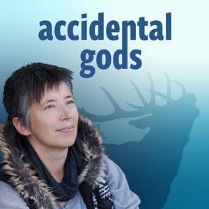 Accidental Gods by Accidental Gods