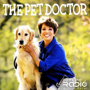 The Pet Doctor - Keeping your pets healthy & pet wellness - Pet Life Radio Original by Pet Life Radio
