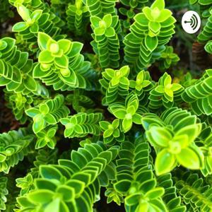 KAJUのメディテーション（瞑想） by 佐藤 和人