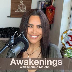 Awakenings with Michele Meiche by Michele Meiche