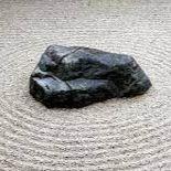 The Neshamah Project by Rabbi Ben Newman