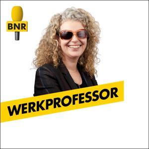 Werkprofessor | BNR by BNR Nieuwsradio