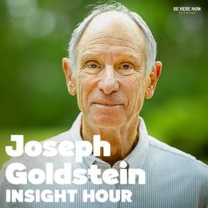 Insight Hour with Joseph Goldstein by Be Here Now Network