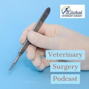 Veterinary Surgery Podcast by Jolle Kirpensteijn