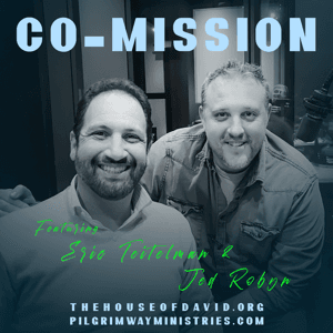 Co-Mission by Eric Teitelman & Jed Robyn