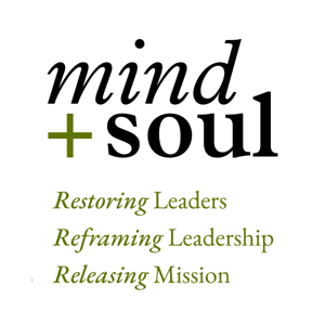 The Mind and Soul Foundation by The Mind and Soul Foundation