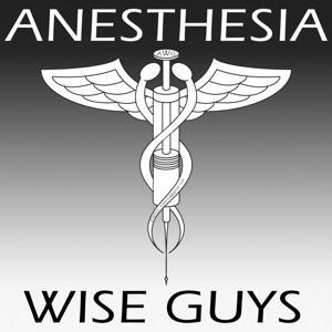 Anesthesia Wise Guys by Shelly Ferrell