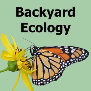 Backyard Ecology by Shannon Trimboli