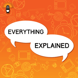 Everything Explained by WAMC