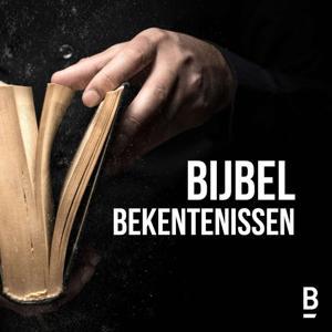Bijbelbekentenissen by Nederlands-Vlaams Bijbelgenootschap