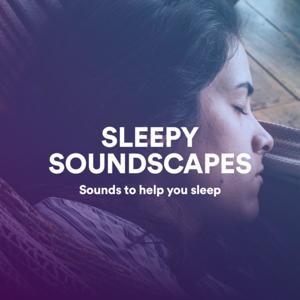 Sleepy Soundscapes - Sounds to help you sleep fast (ASMR & Nature Sounds) by Sleepy Soundscapes