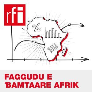 Faggudu e ɓamtaare Afrik by RFI Fulfulde
