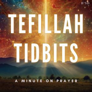 Tefillah Tidbits by Shloime Balsam