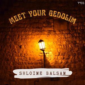 Meet Your Gedolim by Shloime Balsam