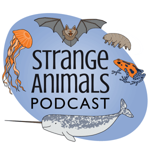 Strange Animals Podcast by Katherine Shaw