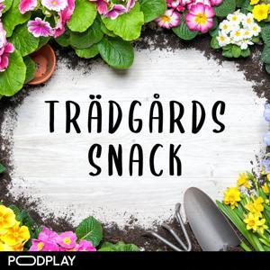 Trädgårdssnack by Podplay | Hasse Strandberg