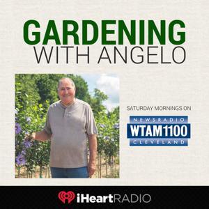 Gardening With Angelo by Angelo Petiti (WTAMAM)